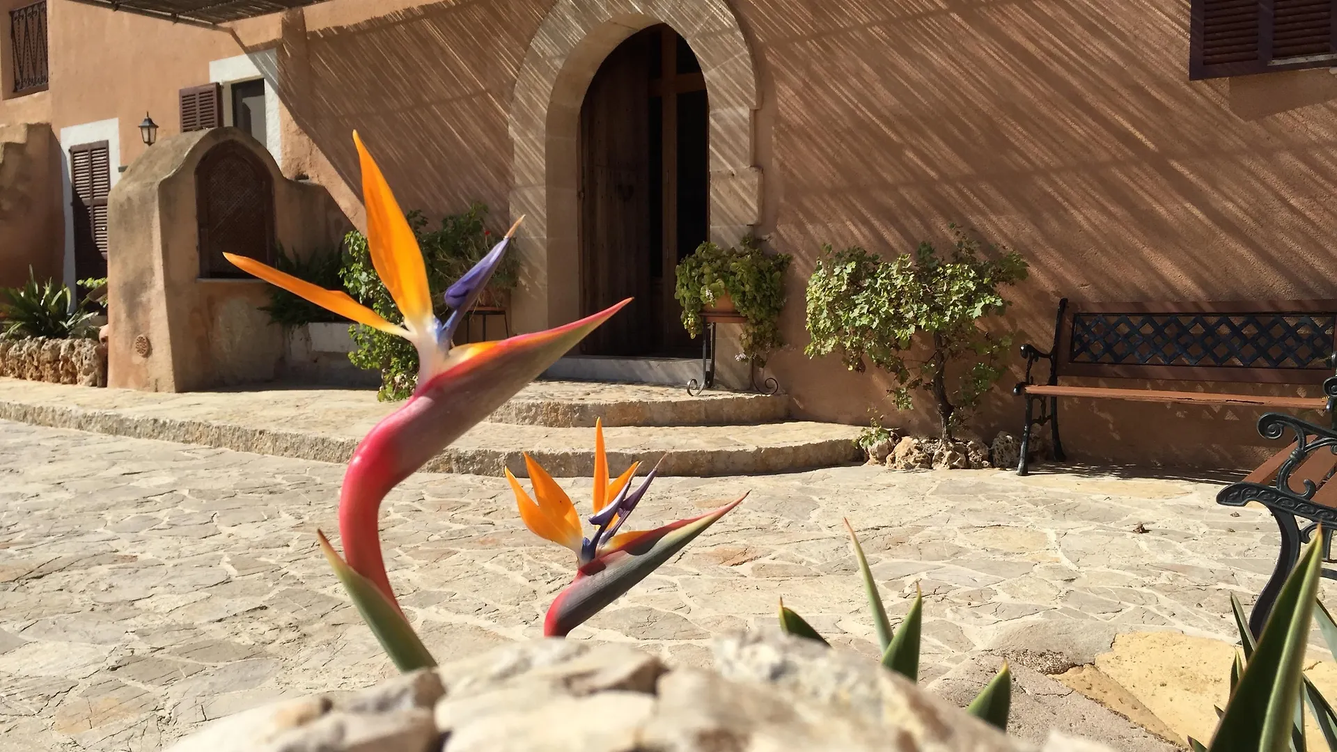 Agroturisme Es Picot Son Macia  Farm stay