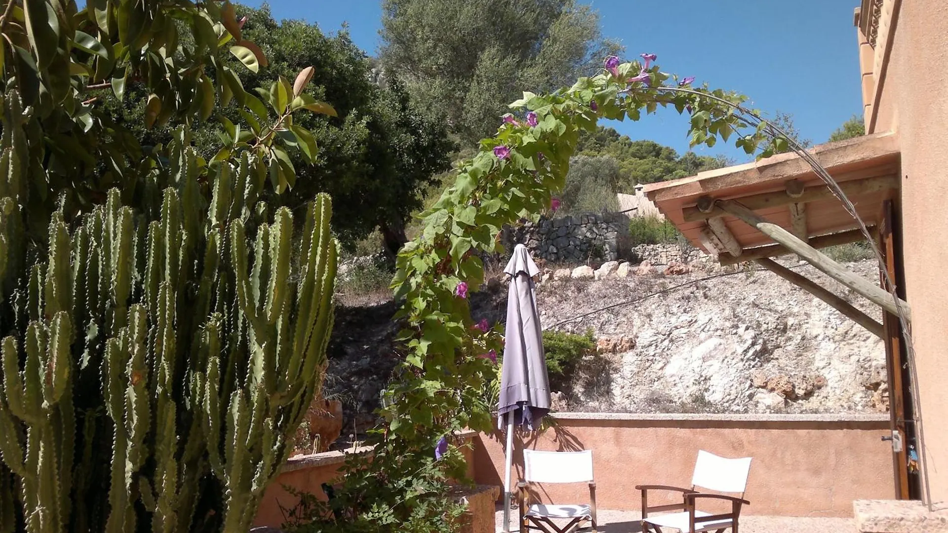 Farm stay Agroturisme Es Picot Son Macia  Spain