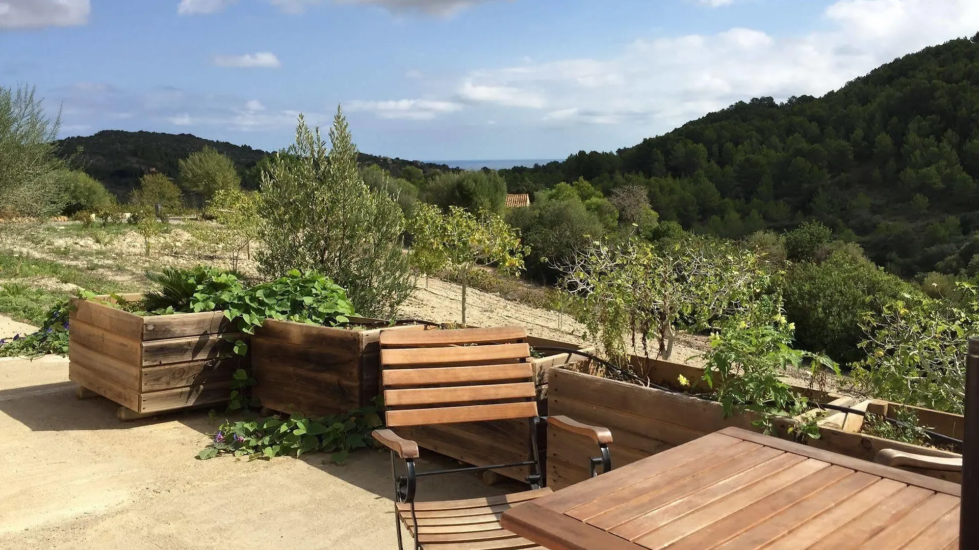 Agroturisme Es Picot Son Macia  Spain