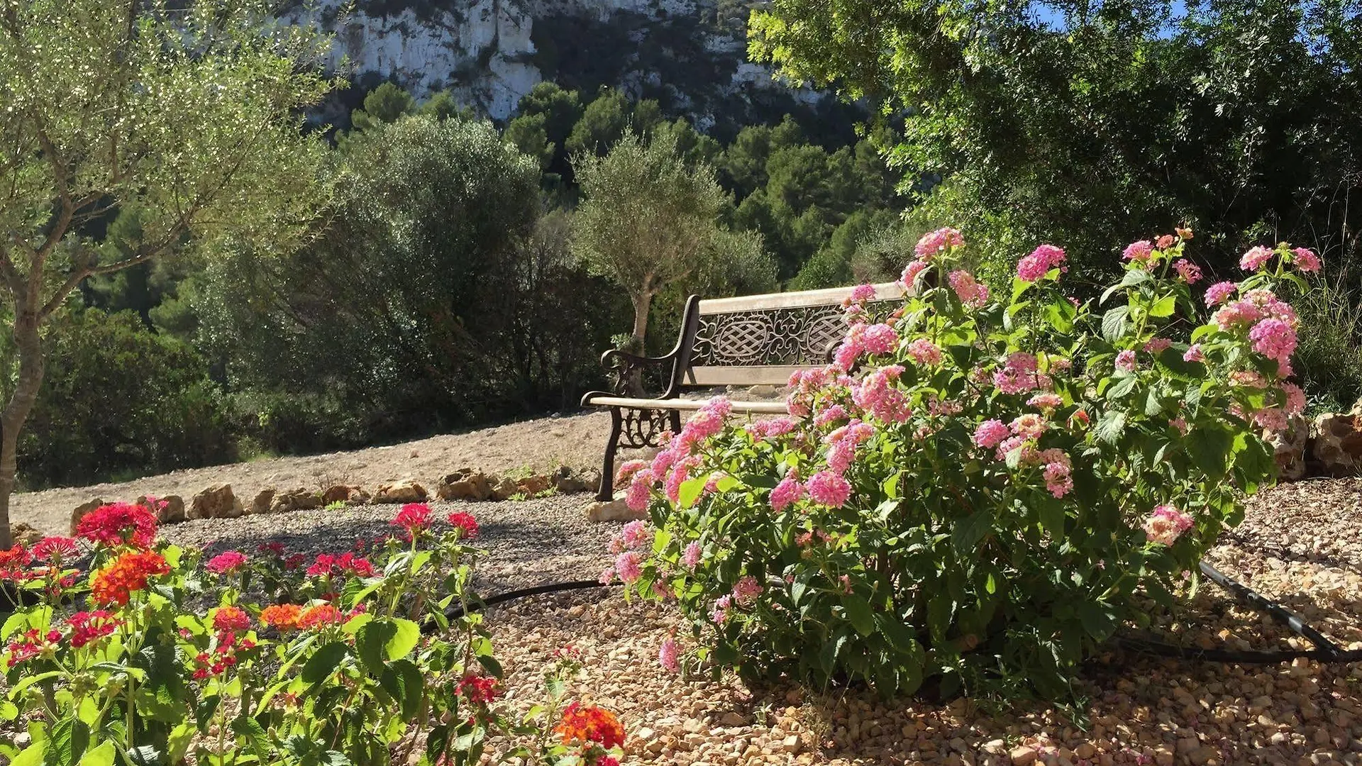 Agroturisme Es Picot Son Macia  Farm stay